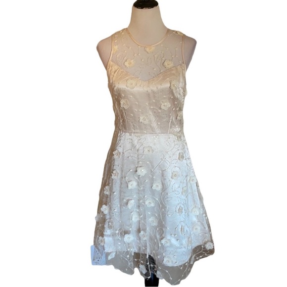 Taylor Dress size 8 beautiful lace with embellishment over ivory lining. - Picture 2 of 5